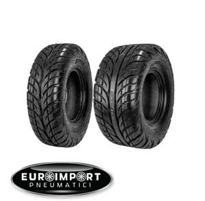 Arisun AR18 REAR 22x10.00/ 10  N  TL
